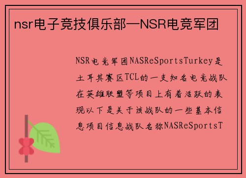 nsr电子竞技俱乐部—NSR电竞军团